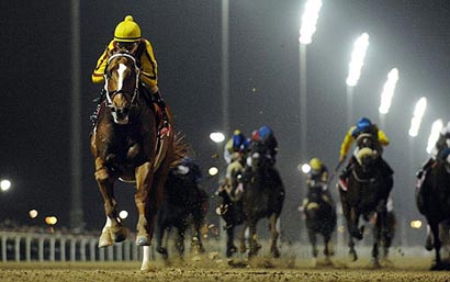Photo: 2008 Emirates Airline Dubai World Cup (UAE-G1) winner Curlin will return to the United States on April 16 and remain with trainer Steve Asmussen until plans are finalized for his next start.