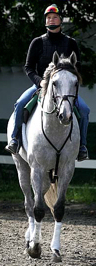 Watercolors heading to the track for her morning work